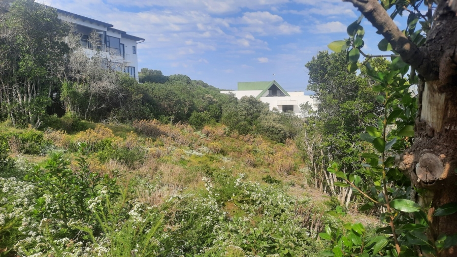 0 Bedroom Property for Sale in Brenton On Sea Western Cape